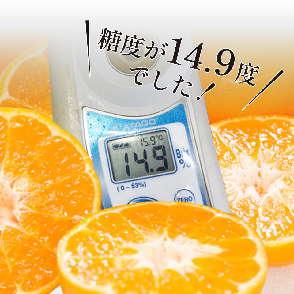 ポンカンは酸っぱい？甘い？｜味の特徴と甘さのひみつ