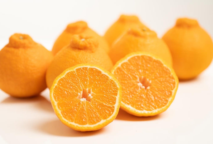 ふるさと納税の返礼品として「不知火」を出品中です