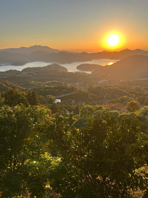 仕事終わりの夕焼け