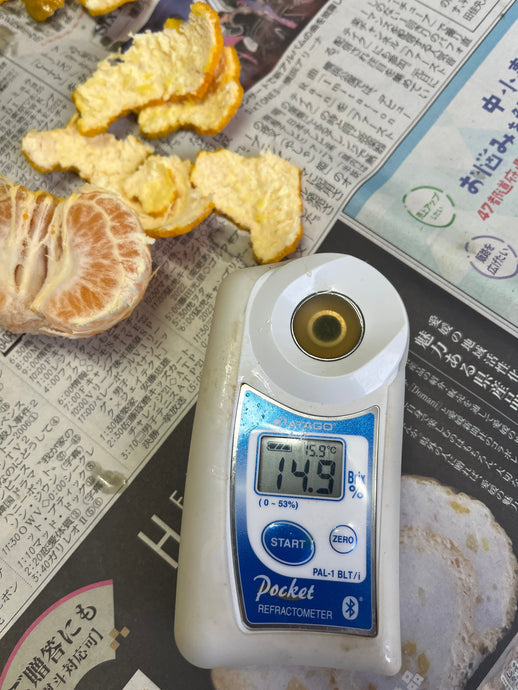 🎤 一発勝負の糖度チェック【FIRST TAKE】