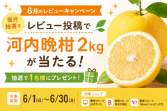【6月レビューキャンペーン】レビュー投稿で河内晩柑2kgが当たる！