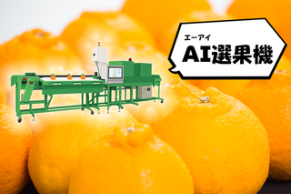 愛南町ふるさと納税「ふるさと産品創出支援事業」に、愛南フルーツの取り組みが掲載されました