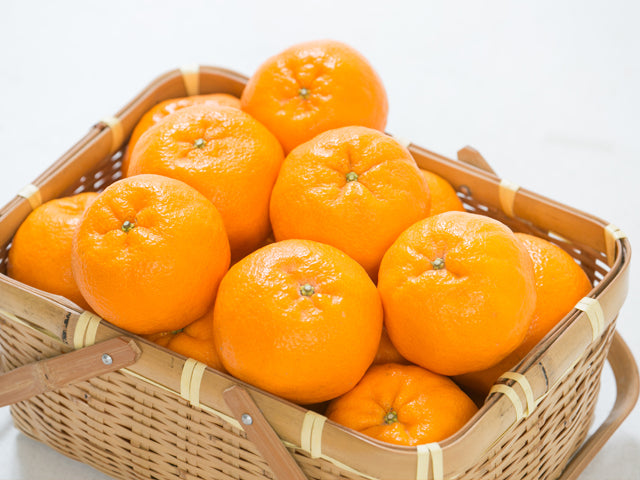 【予約商品】愛南ポンカン（サイズミックス）