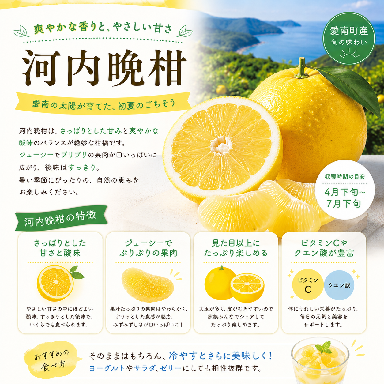 【家庭用】河内晩柑（愛南ゴールド）