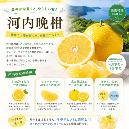 【家庭用】河内晩柑（愛南ゴールド）