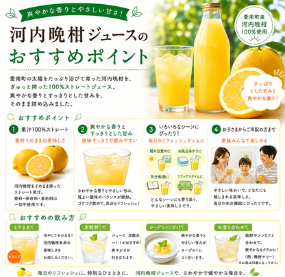 無添加 河内晩柑ジュース（720ml×3本セット）