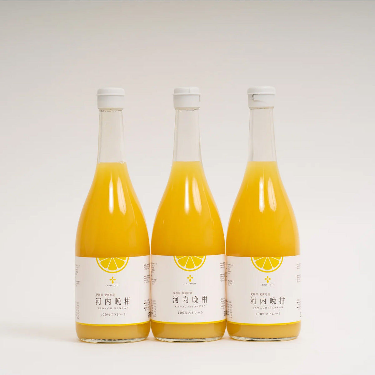 無添加 河内晩柑ジュース（720ml×3本セット）