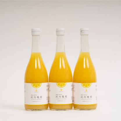 無添加 河内晩柑ジュース（720ml×3本セット）