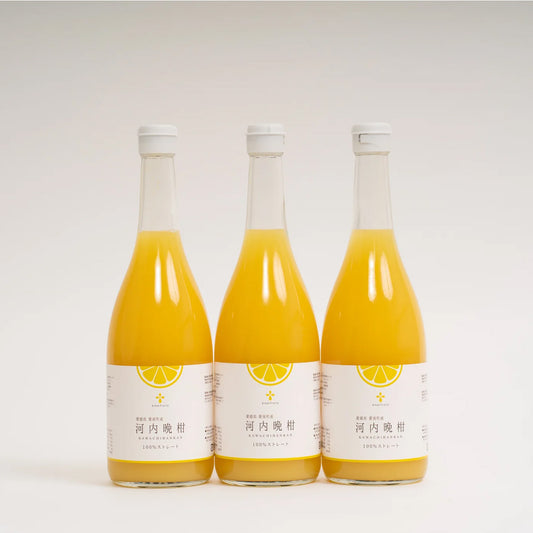 無添加 河内晩柑ジュース（720ml×3本セット）