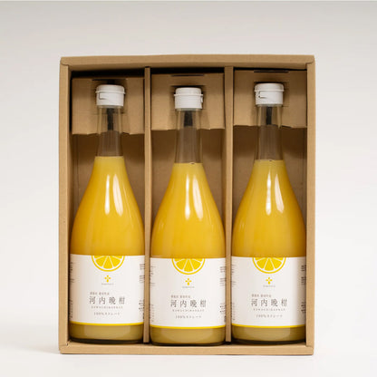 無添加 河内晩柑ジュース（720ml×3本セット）