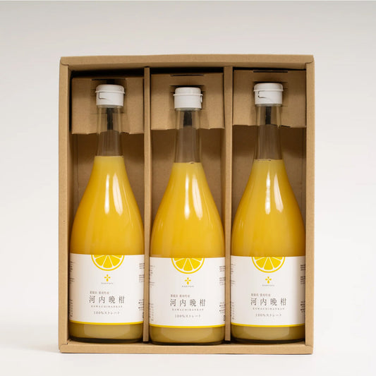 無添加 河内晩柑ジュース（720ml×3本セット）