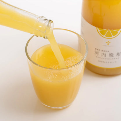 無添加 河内晩柑ジュース（720ml×3本セット）