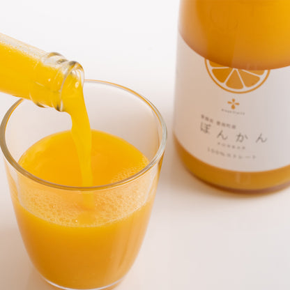無添加 ぽんかんジュース（720ml ✕ 6本セット）