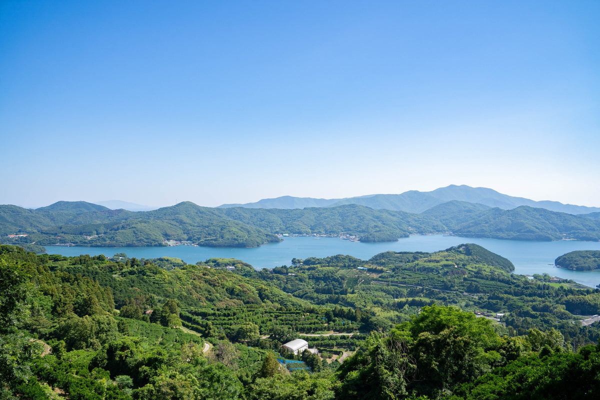 愛南の園地と海の風景