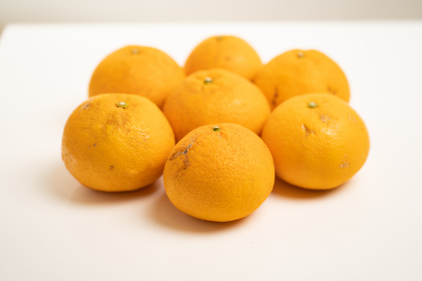 【訳あり】甘夏